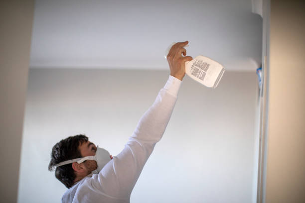 Best Same-Day Mold Removal  in Key Vista, FL